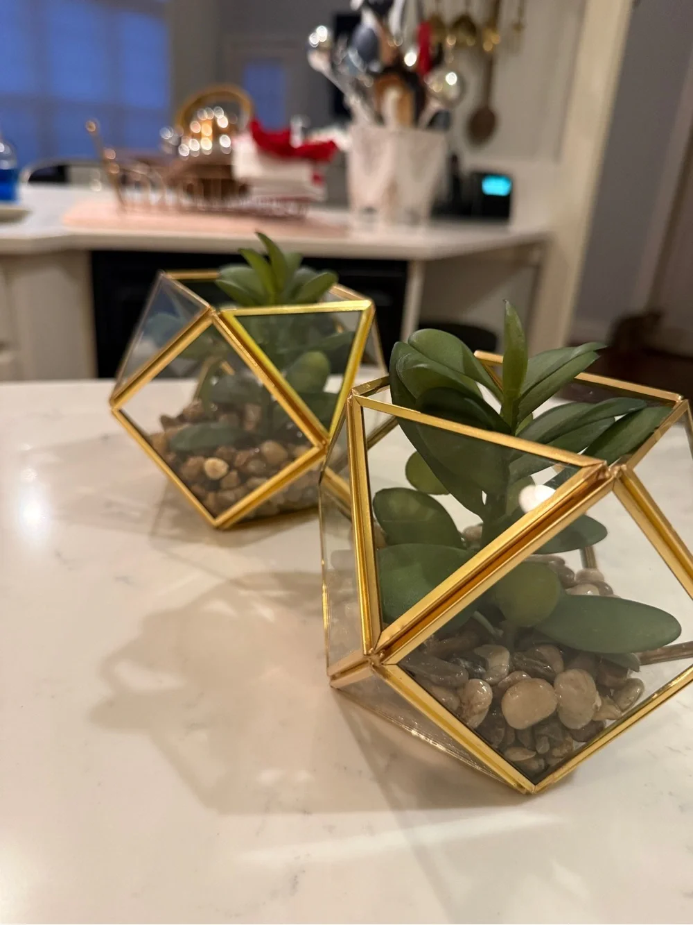 Target Threshold Artificial Indoor Succulent Plant in Brass/Glass Terrarium